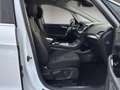 Ford S-Max 2.0 EcoBlue Aut. TITANIUM *Pano*Ambiente* Blanc - thumbnail 26