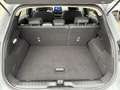 Ford Puma Puma 1.5 ecoblue Titanium - ok neopatentati - Grigio - thumbnail 15