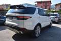 Land Rover Discovery 5 2.0 sd4 240cv Aut. Blanc - thumbnail 6