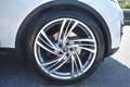 Land Rover Discovery 5 2.0 sd4 240cv Aut. Blanc - thumbnail 7