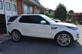Land Rover Discovery 5 2.0 sd4 240cv Aut. Blanc - thumbnail 16