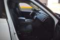 Land Rover Discovery 5 2.0 sd4 240cv Aut. Blanc - thumbnail 21