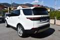 Land Rover Discovery 5 2.0 sd4 240cv Aut. Blanc - thumbnail 5