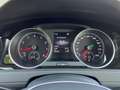 Volkswagen Golf Variant Golf VII Variant Allstar 1.4TSI DSG AHK Bi-Xenon Gris - thumbnail 9