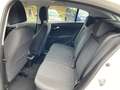 Fiat Tipo Hybrid 130 eDCT7 Automatik Weiß - thumbnail 11