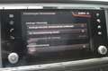 SEAT Ateca Style 1.5 TSI DSG +SHZ+360°+NAVI+BEATS+AHK Grau - thumbnail 22