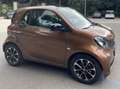 smart forTwo Fortwo 1.0 Prime 71cv Marrone - thumbnail 3