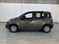 Fiat Panda 1.2 69cv S&S E6d-Temp Easy Gris - thumbnail 2