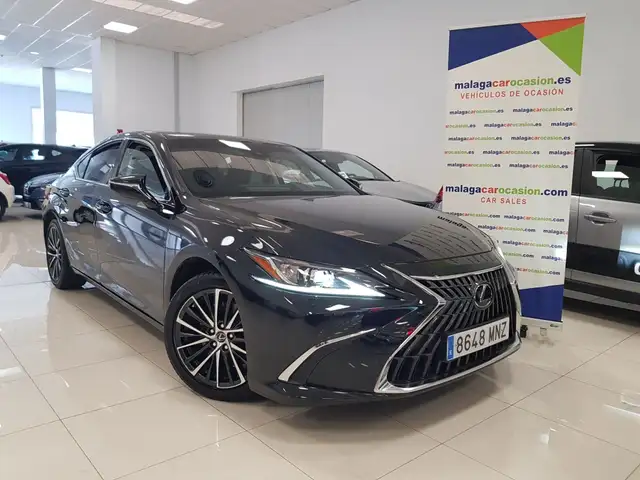 Lexus ES 300 300h Premium