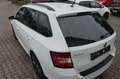 Skoda Fabia Fabia Combi Ambition *SHZ*PDC*ALU* Weiß - thumbnail 9