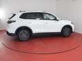 Volkswagen Tiguan Life 1.5eTSI DSG 341,-ohne Anzahlung AHK App-Conn Weiß - thumbnail 19