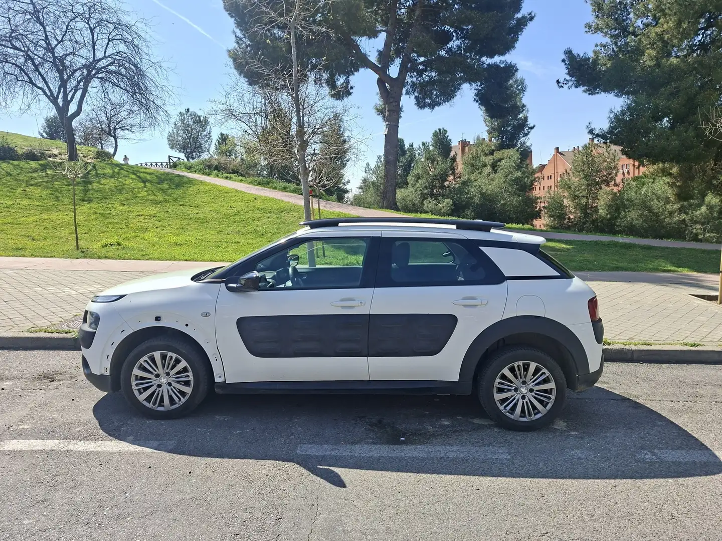Citroen C4 Cactus 1.6 BlueHDi S&S Business 100 - 1