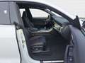 Audi Q8 4.0 tiptronic Blanc - thumbnail 8