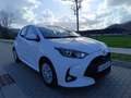 Toyota Yaris Pequeño Manual de 5 Puertas Weiß - thumbnail 10