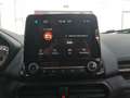 Ford EcoSport 1.0 EcoBoost 125 CV Start&Stop Titanium - thumbnail 11