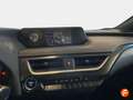 Lexus UX 250h 2.0 Business Navigation Zelená - thumbnail 12