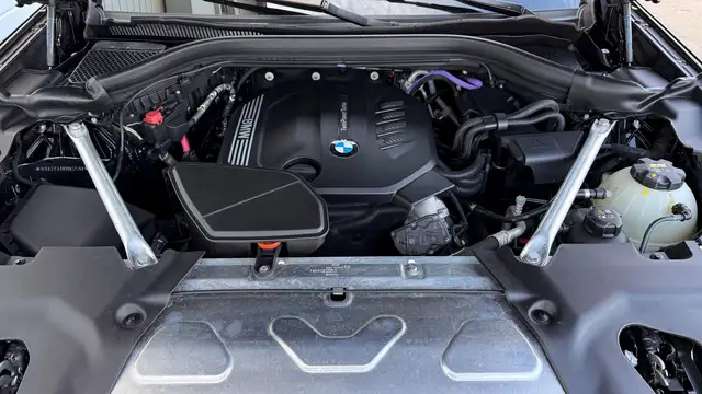 BMW X4 xDrive 20d Ansicht 33