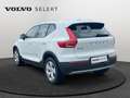 Volvo XC40 T2 Momentum / Essence Blanc - thumbnail 4