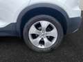 Volvo XC40 T2 Momentum / Essence Blanc - thumbnail 14