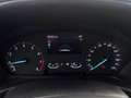 Ford Fiesta Active 1.0 ecoboost h 125cv Rosso - thumbnail 11