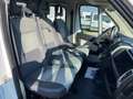 Fiat Ducato FIAT DUCATO 2.3MJT-130CV 7 POSTI Blanc - thumbnail 10