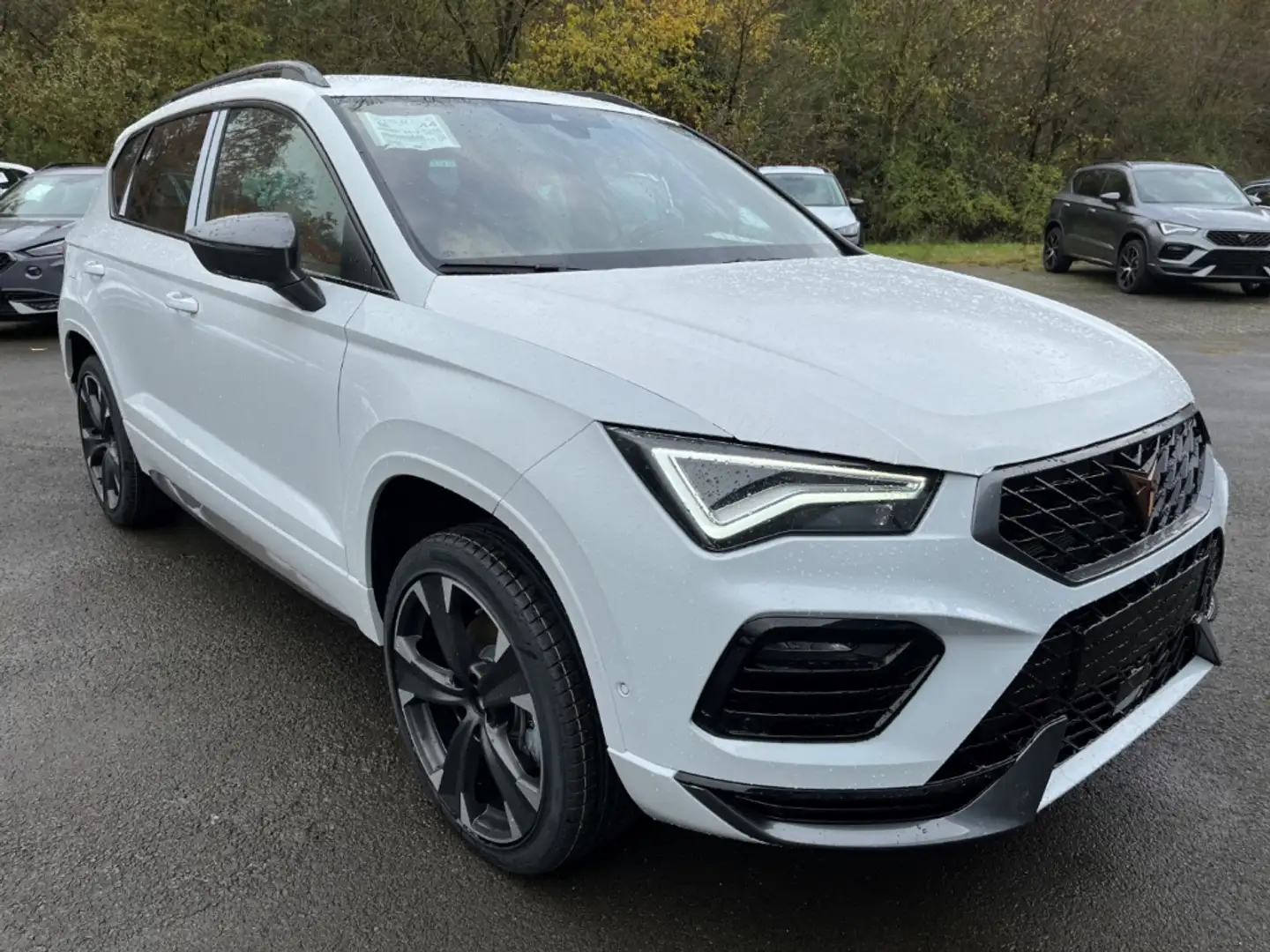 CUPRA Ateca 1.5 TSI TopView Kamera, Beats, Frontscheibe beheiz Weiß - 2