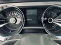 Ford Mustang GT V8 5,0L COYOTE PREMIUM AUTO Gris - thumbnail 16