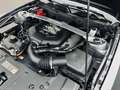Ford Mustang GT V8 5,0L COYOTE PREMIUM AUTO Gris - thumbnail 19