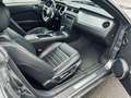 Ford Mustang GT V8 5,0L COYOTE PREMIUM AUTO Gris - thumbnail 12