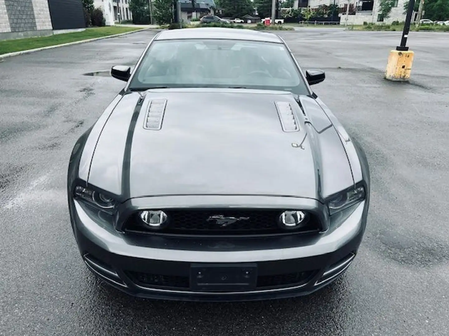 Ford Mustang GT V8 5,0L COYOTE PREMIUM AUTO Gris - 2
