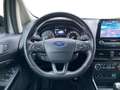 Ford EcoSport 1,0 SHZ LHZ CarPlay Klimaaut. Isofix PDC Klima Argent - thumbnail 12
