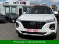Hyundai SANTA FE Premium 4WD Weiß - thumbnail 11