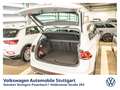 Volkswagen Tiguan 1.5 TSI DSG AHK NAVI SHZG CarPlay Weiß - thumbnail 13
