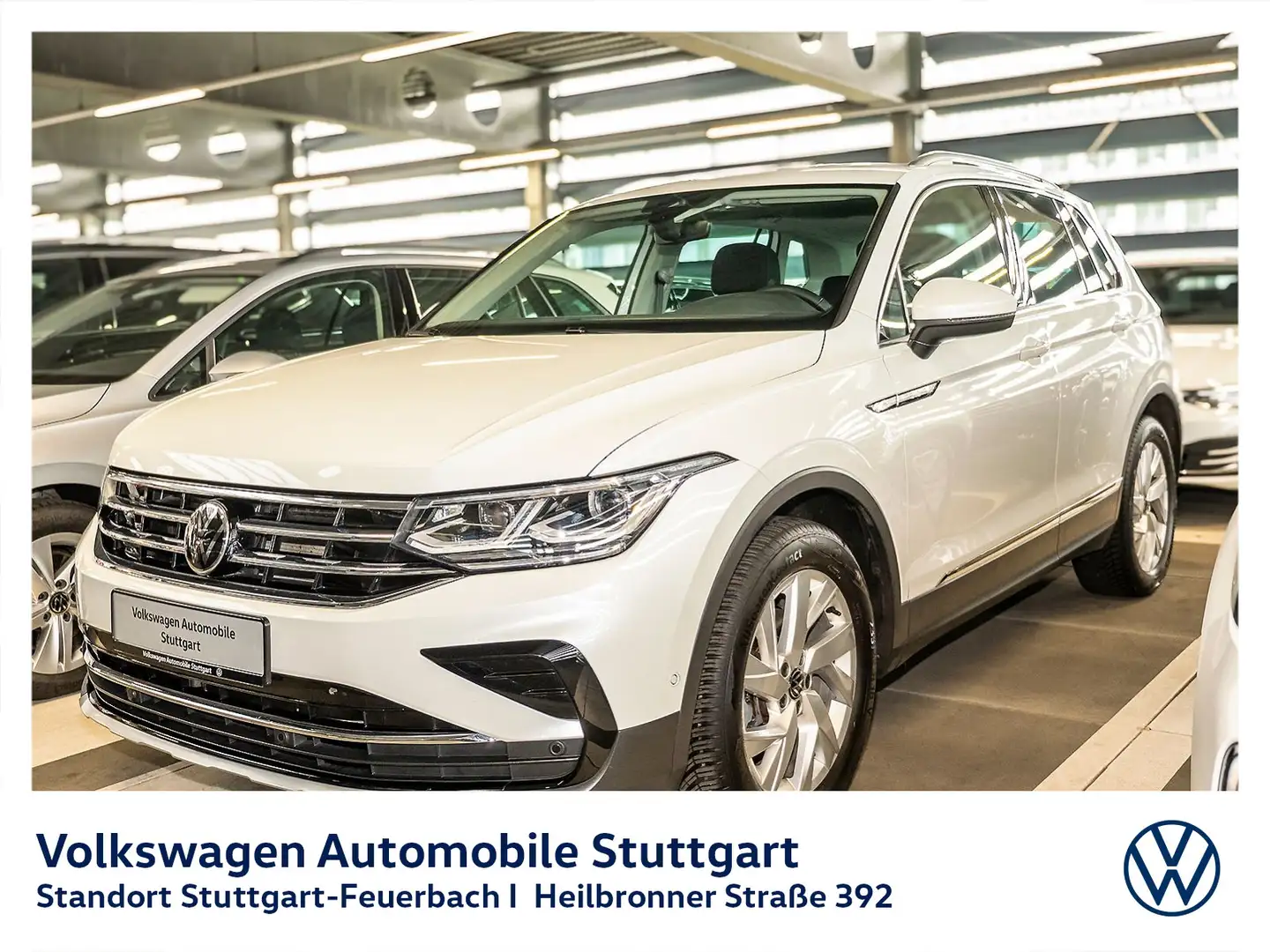 Volkswagen Tiguan 1.5 TSI DSG AHK NAVI SHZG CarPlay Weiß - 1