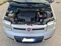Fiat Panda 1.3 diesel multiJet 4*4 con carrello appendice Argento - thumbnail 5