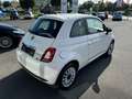 Fiat 500 1,0 70PS Klima... Wit - thumbnail 8