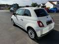 Fiat 500 1,0 70PS Klima... Wit - thumbnail 4