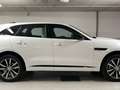 Jaguar F-Pace P400e Plug-in-Hybrid R-Dynamic HSE BVA8 AWD Bianco - thumbnail 2