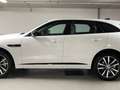 Jaguar F-Pace P400e Plug-in-Hybrid R-Dynamic HSE BVA8 AWD Bianco - thumbnail 3