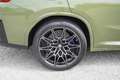 BMW X4 M M Competition INDIVIDUAL Head-Up Kamera HarmanKard Grün - thumbnail 2