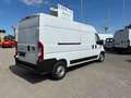 Fiat Ducato Maxi L4H2 140 MT Weiß - thumbnail 4