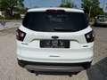 Ford Kuga Trend*1.Hand*SHZ*PDC*Tempom.*Scheckheft* Weiß - thumbnail 4