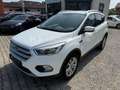 Ford Kuga Trend*1.Hand*SHZ*PDC*Tempom.*Scheckheft* Weiß - thumbnail 1