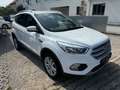 Ford Kuga Trend*1.Hand*SHZ*PDC*Tempom.*Scheckheft* Weiß - thumbnail 7