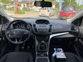 Ford Kuga Trend*1.Hand*SHZ*PDC*Tempom.*Scheckheft* Weiß - thumbnail 14