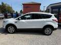 Ford Kuga Trend*1.Hand*SHZ*PDC*Tempom.*Scheckheft* Weiß - thumbnail 2