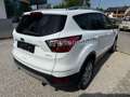Ford Kuga Trend*1.Hand*SHZ*PDC*Tempom.*Scheckheft* Weiß - thumbnail 5