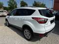 Ford Kuga Trend*1.Hand*SHZ*PDC*Tempom.*Scheckheft* Weiß - thumbnail 3