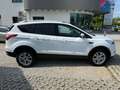 Ford Kuga Trend*1.Hand*SHZ*PDC*Tempom.*Scheckheft* Weiß - thumbnail 6
