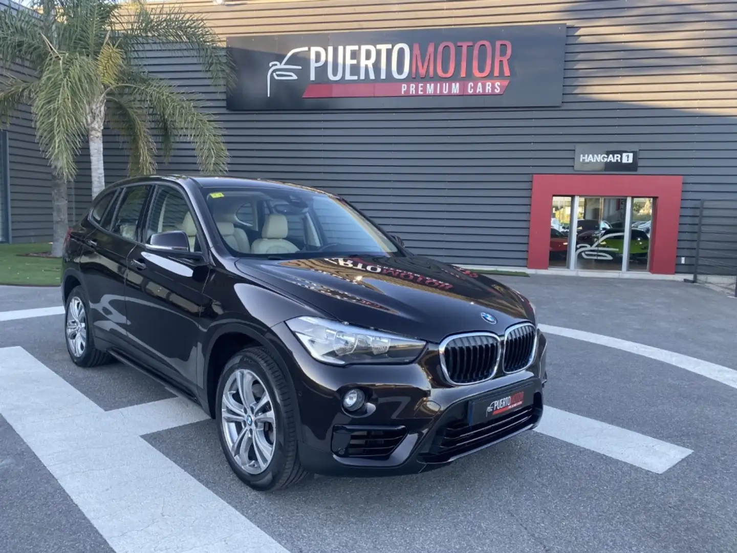 BMW X1 xDrive 20d Marrón - 1